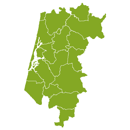 Property Aveiro Municipality